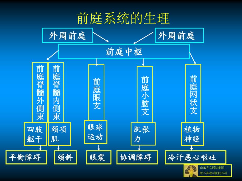 前庭代偿机制解析与常见眩晕疾病诊张道宫_第4页