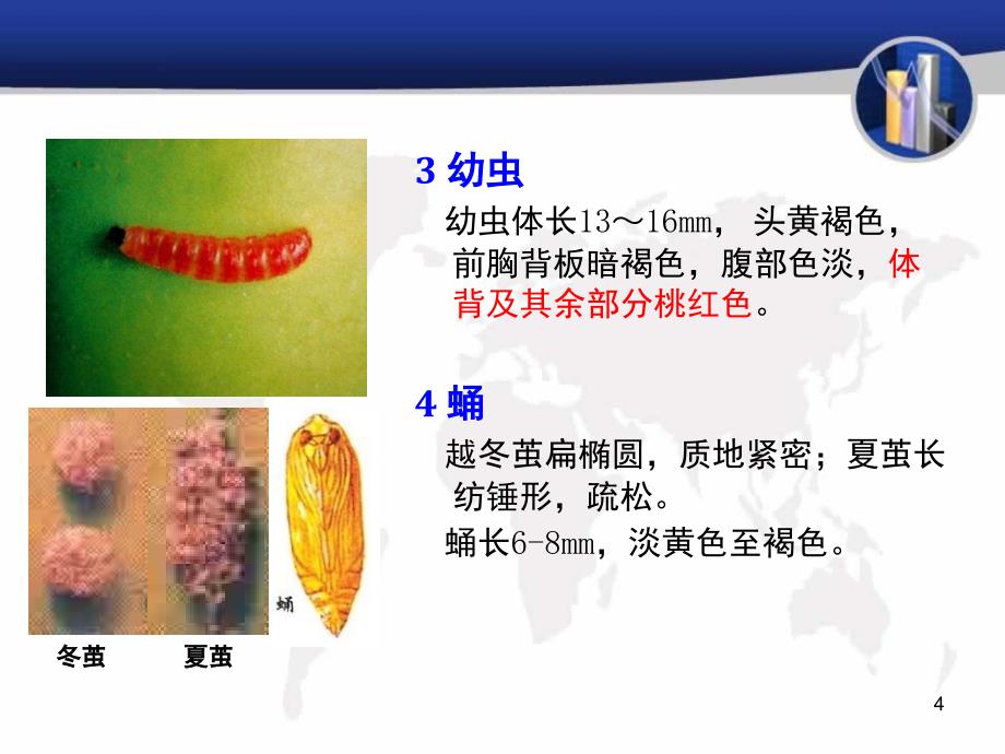 桃小食心虫的为害与防治课堂PPT_第4页