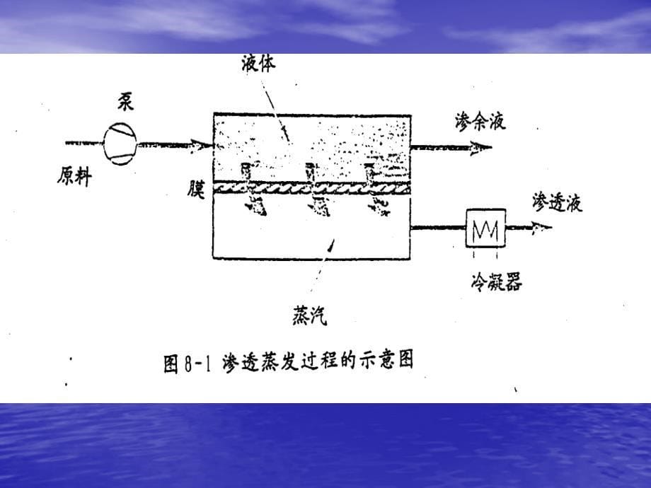 《渗透蒸发过程》PPT课件_第5页