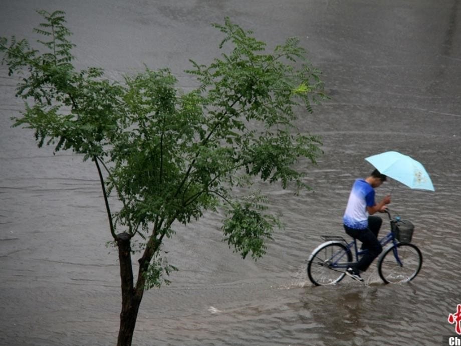 贾平凹风雨新课件_第5页