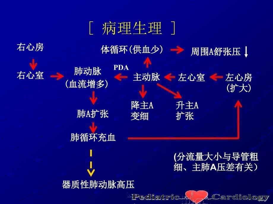 儿科学：循环系统：动脉导管未闭_第5页