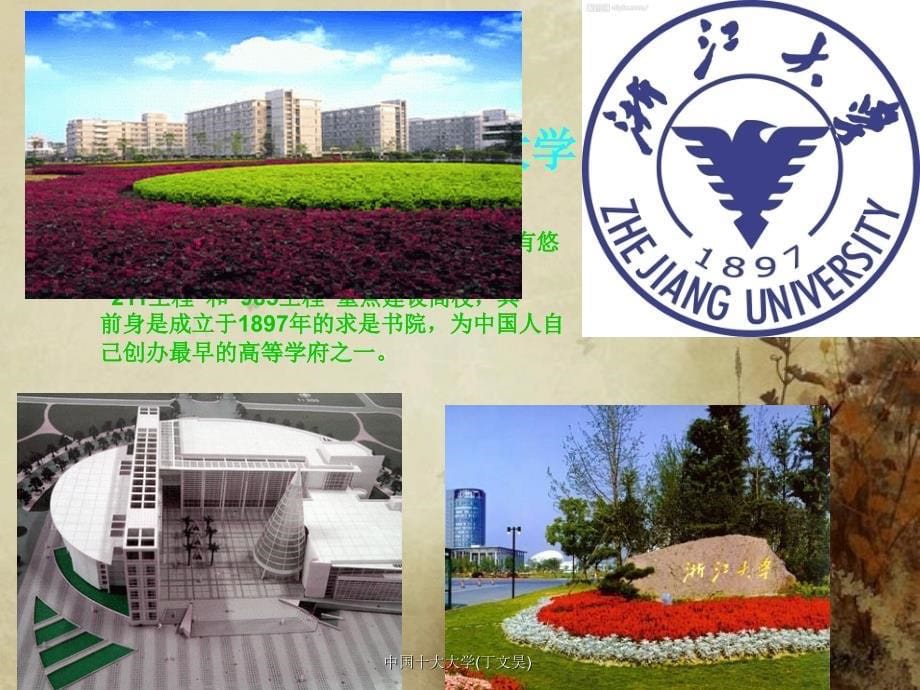 中国十大大学丁文昊课件_第5页