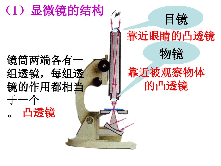 显微镜和望远镜_第4页