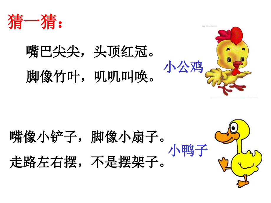 5小公鸡和小鸭子任秀平_第1页