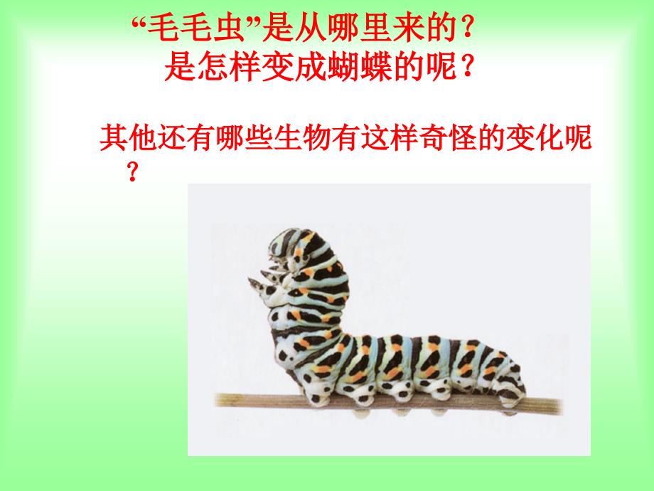 昆虫的生殖和发育课件_第4页