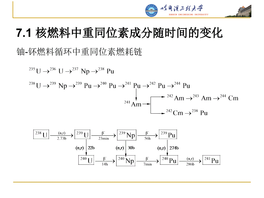 核反应堆的核物理反应性随时间的变化PPT精品文档_第2页