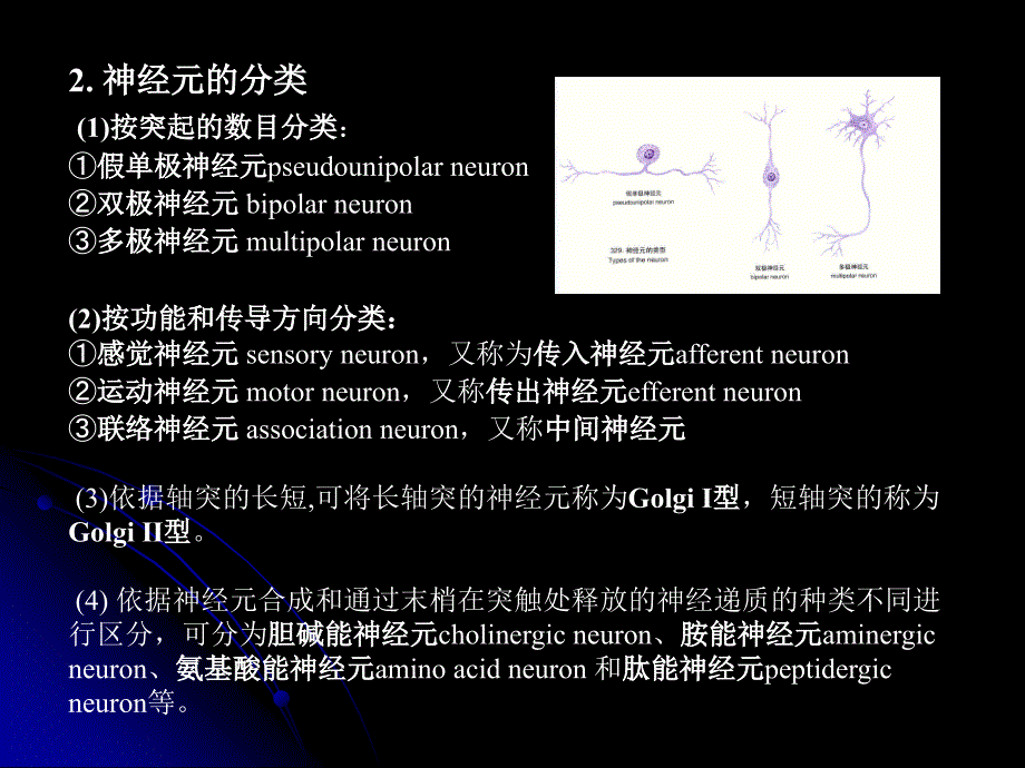 神经总论ppt课件_第4页