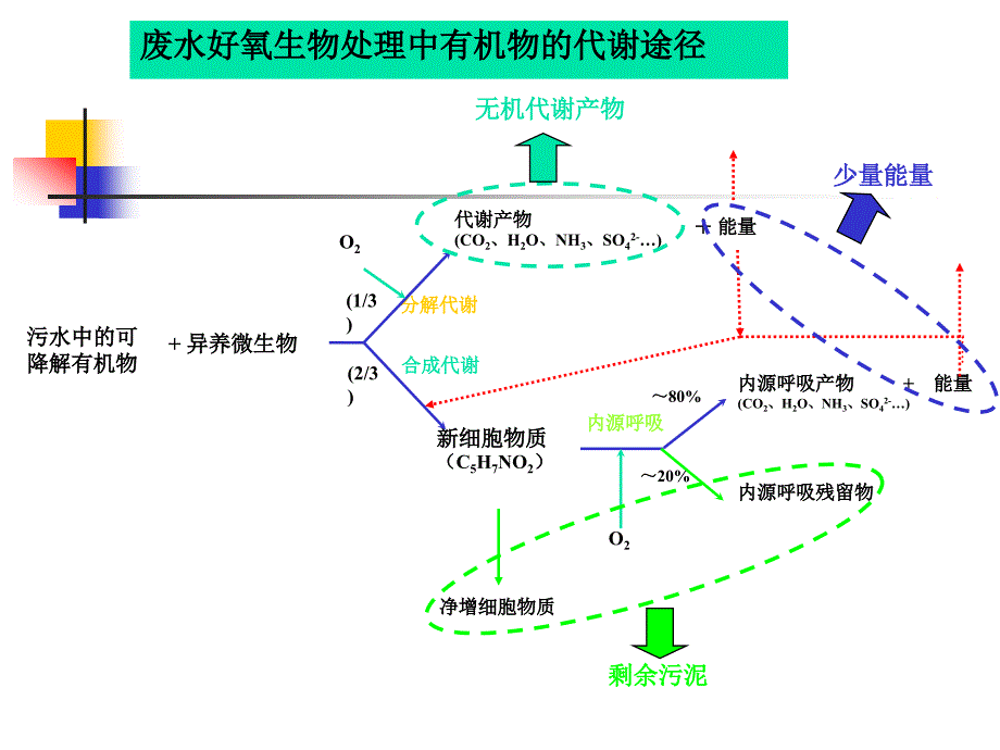 污水的好氧生物处理-活性污泥法_第2页