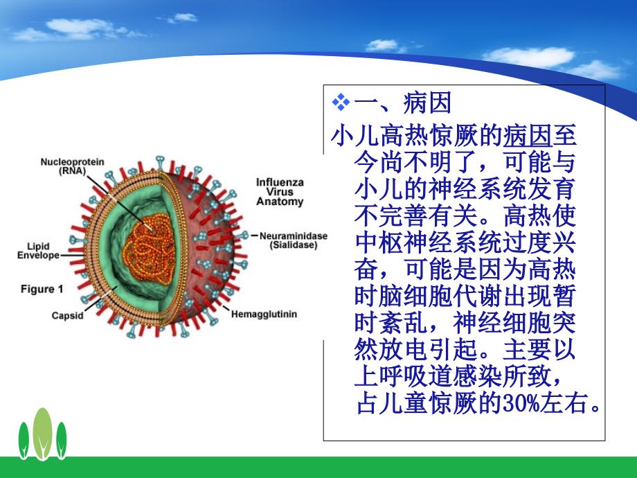 小儿高热惊厥的急救与护理012_第3页