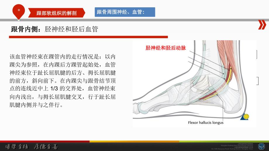 跟骨周围的解剖特点与手术治疗的关联性_第4页