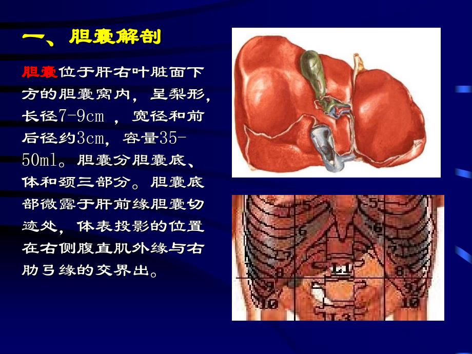 胆囊超声诊断学文档_第3页