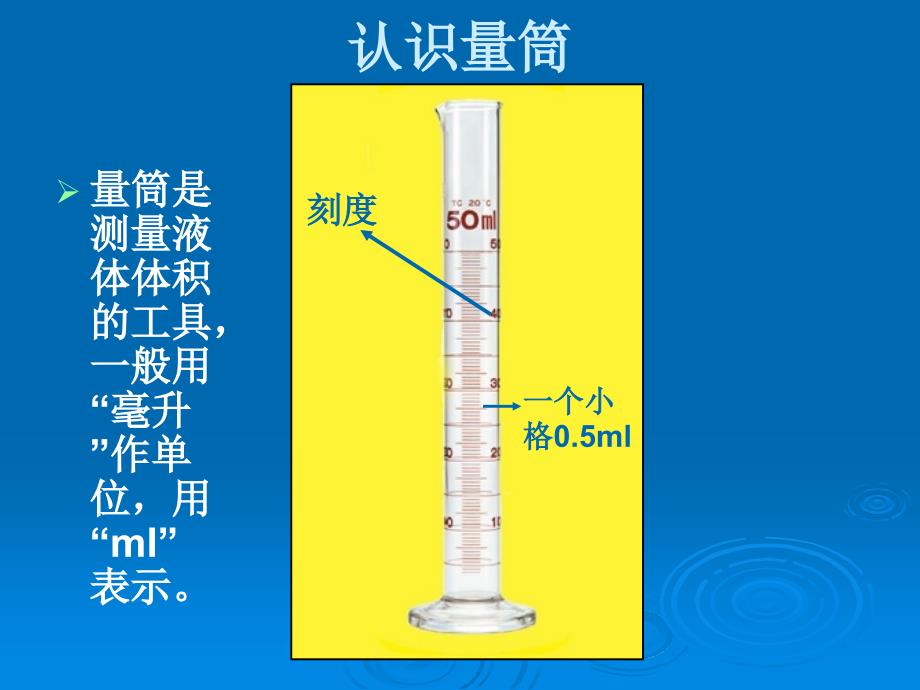 青岛版科学三上哪杯水多PPT课件5_第4页