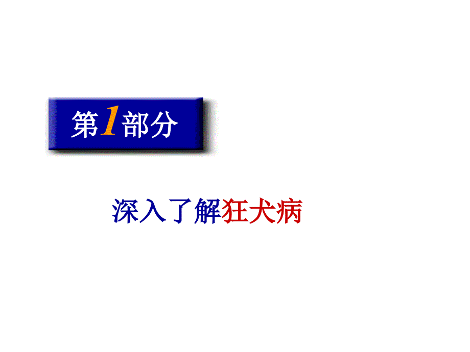 狂犬病本知识与存在问题(0620肇庆)_第4页