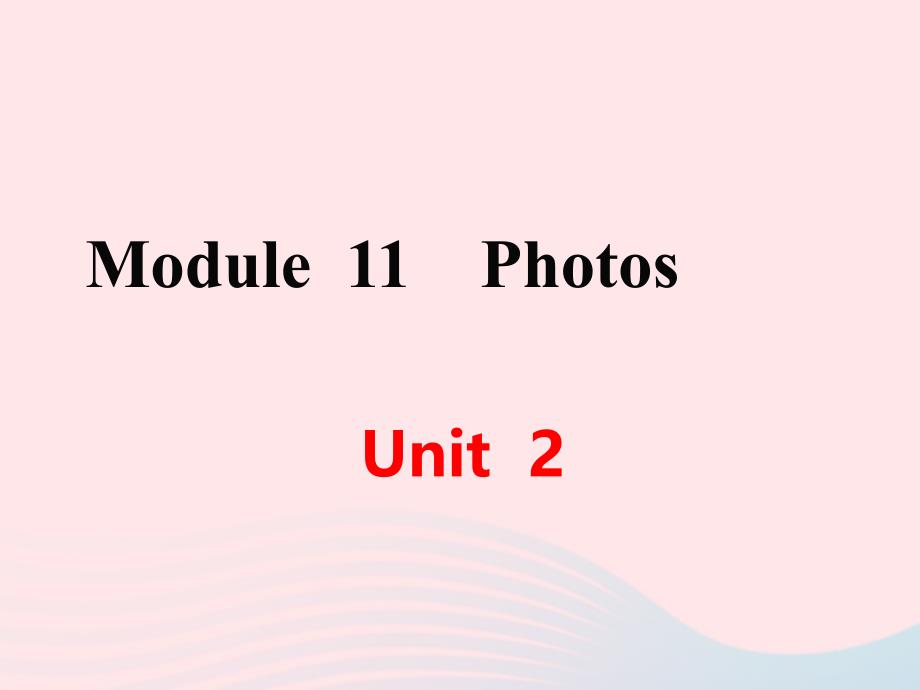 2019秋九年级英语上册 Module 11 Photos Unit 2 The photo which we liked best was taken by Zhao Min教学课件（新版）外研版_第1页