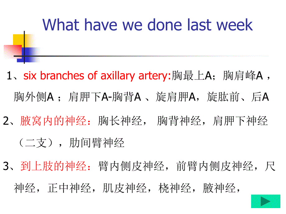 研究生高级局部解剖学_第4页