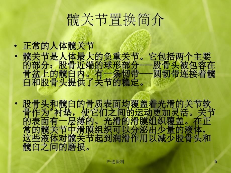 人工全髋关节置换术（行业荟萃）_第5页