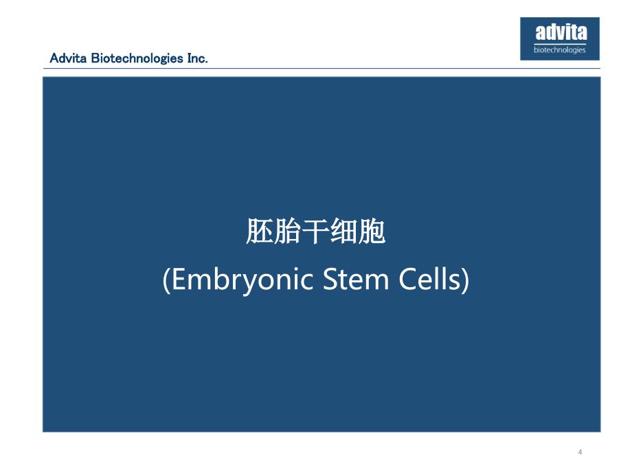 干细胞在再生医学和化妆品中的应用优秀课件_第4页