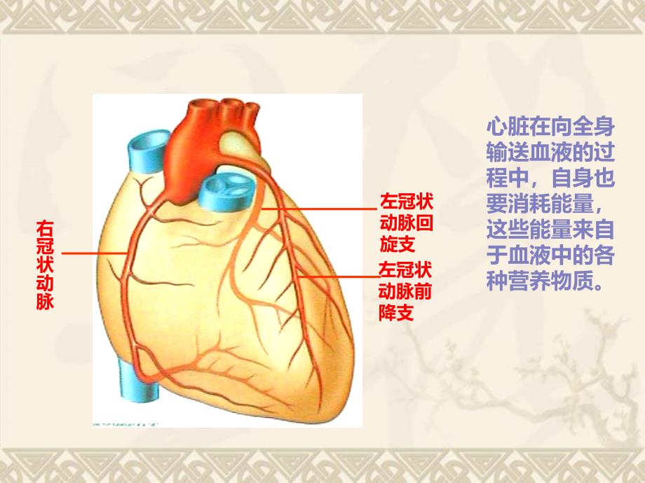 PCI围手术期抗血小板用药_第3页