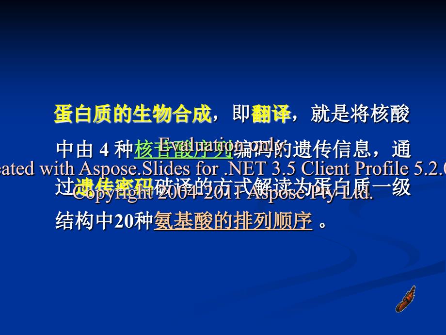 第十一章蛋白质生的物合成文档资料_第3页