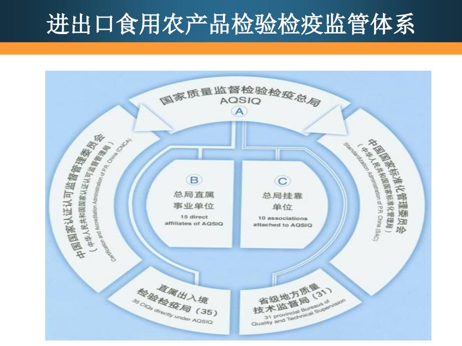 进出口食用农产品检验检疫监管体系简介广东检验检疫局王伟PPT精品文档_第4页