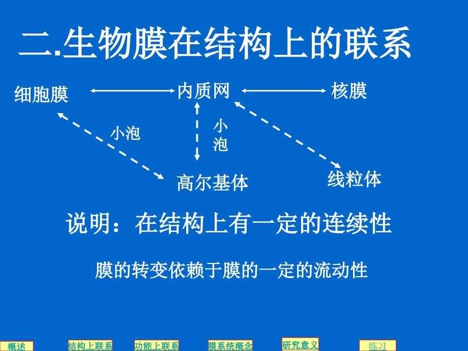 生物膜系统专题复习_第5页