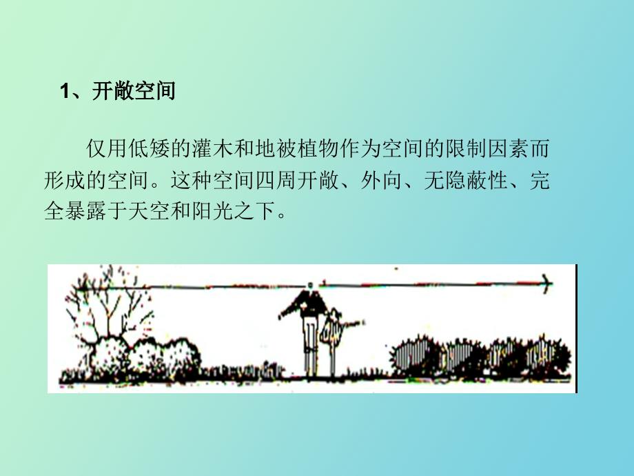 园林植物的功能作用_第4页