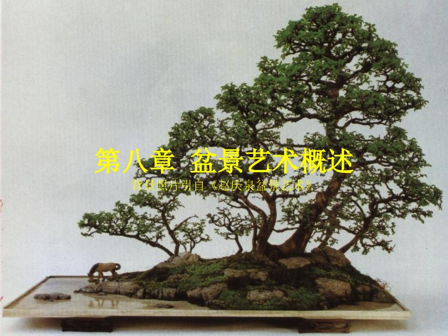 盆景艺术概述PPT课件_第1页