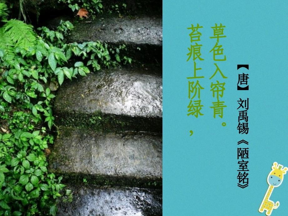 六年级生物下册 3.1.2《苔藓和蕨类植物》1 鲁科版五四制_第1页