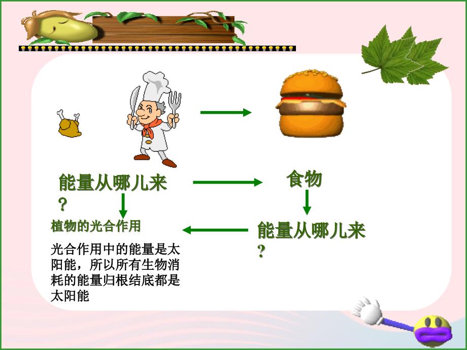 最新六年级科学下册一能量与生活2能量从哪里来课件2_第2页