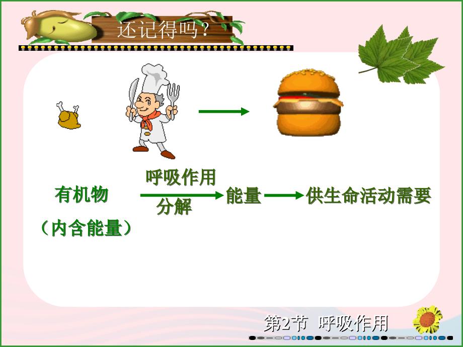 最新六年级科学下册一能量与生活2能量从哪里来课件2_第3页