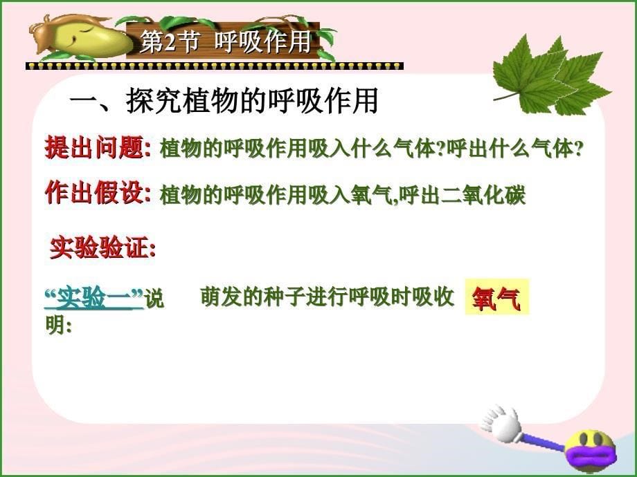 最新六年级科学下册一能量与生活2能量从哪里来课件2_第5页