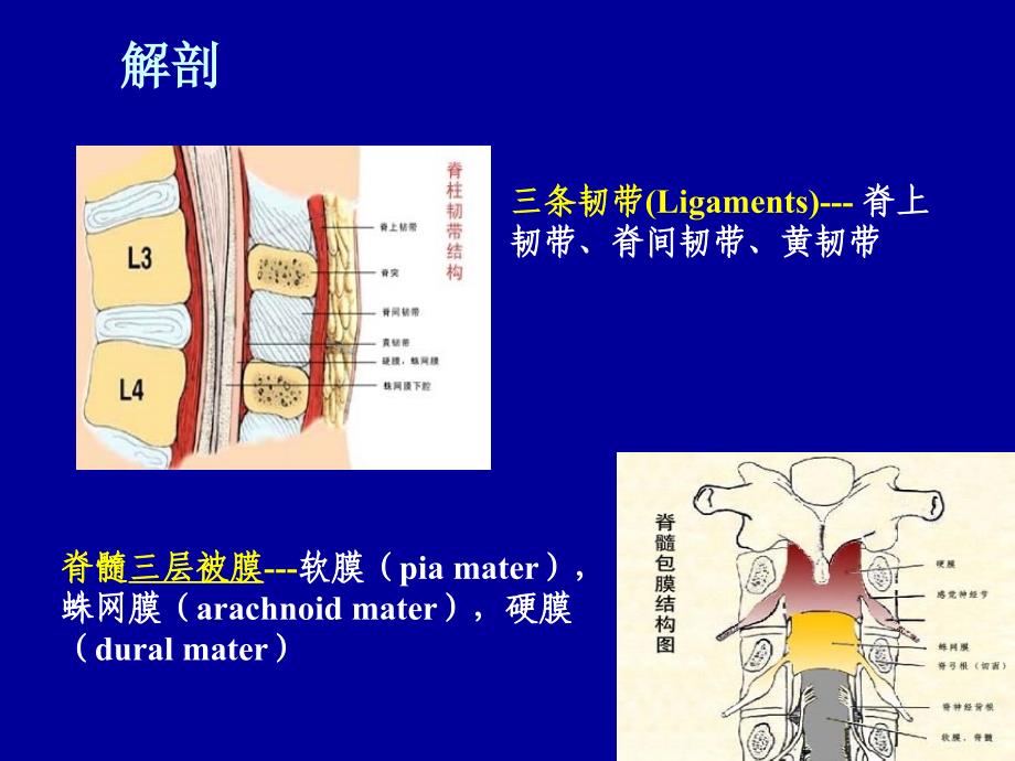 腰椎穿刺术陈玲_第4页