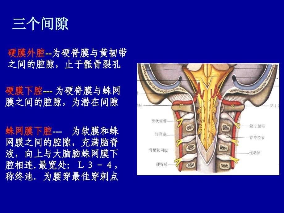 腰椎穿刺术陈玲_第5页