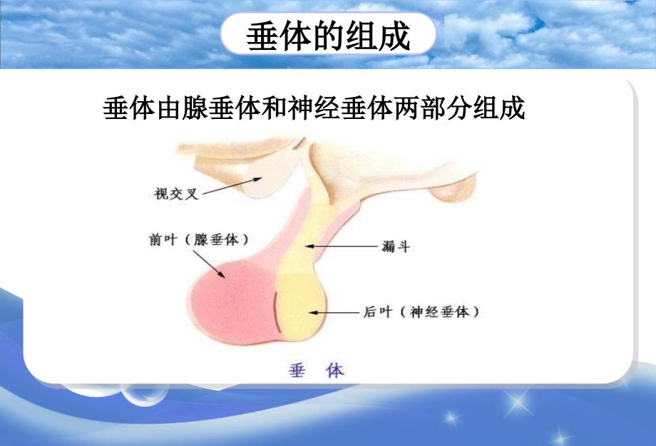 异位垂体腺瘤_第3页