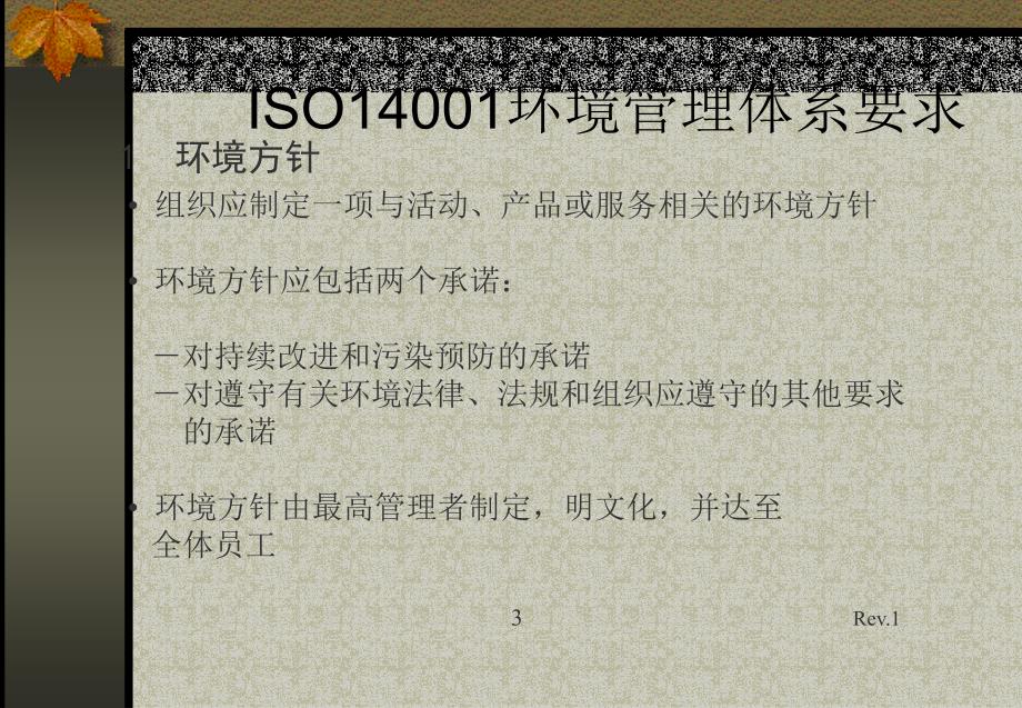 iso14000标准培训_第4页