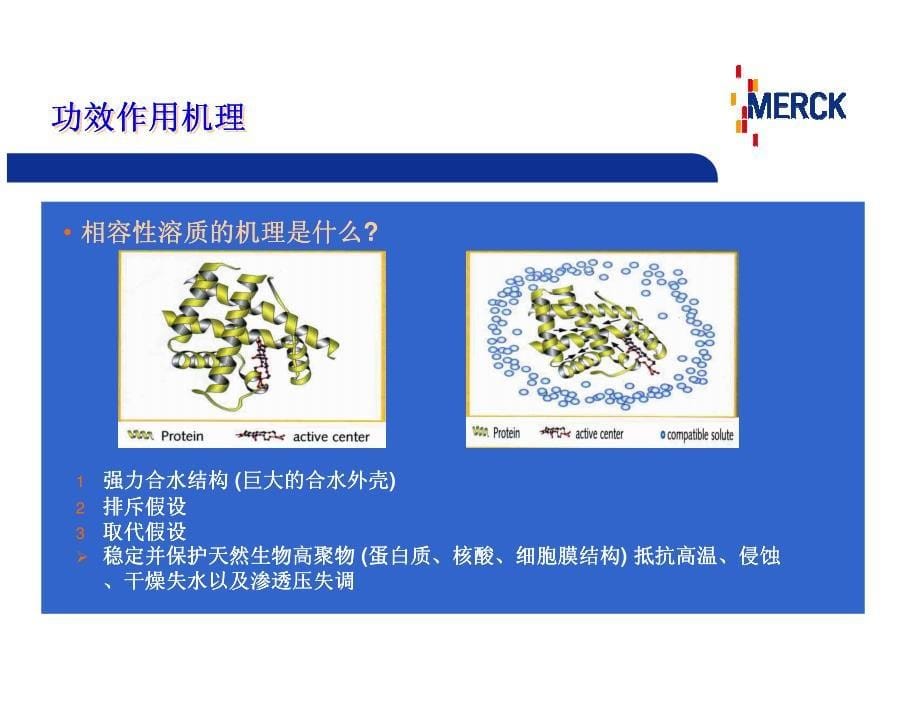 Ronacare Ectoin四氢甲基嘧啶羧酸.pdf_第5页