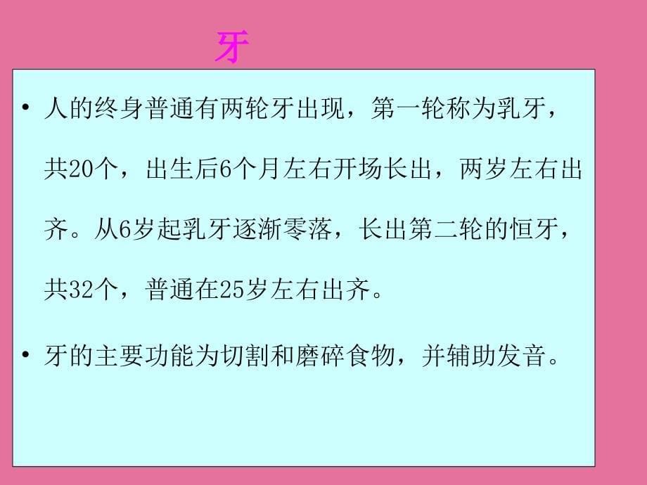 运动与健康运动解剖学基础知识ppt课件_第5页