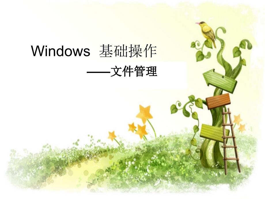 windows文件管理_第1页