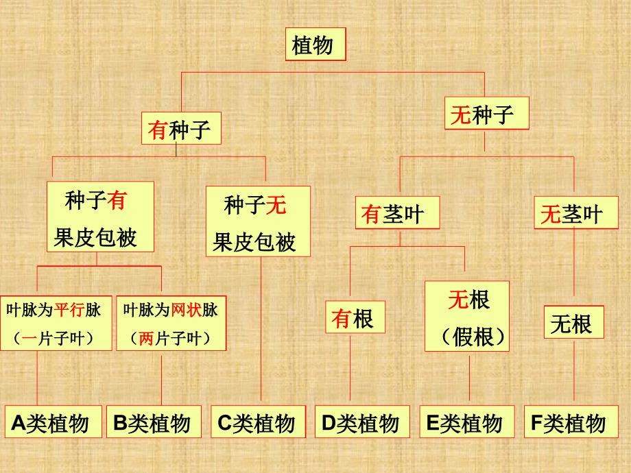 初中八年级生物上册611尝试对生物进行分类名师优质课件1新版新人教版_第4页