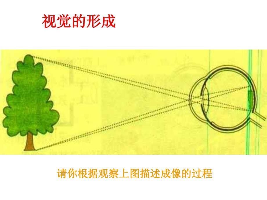 第六章第一节_第5页