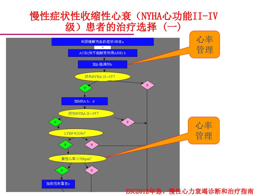 心内科范忠才_第3页