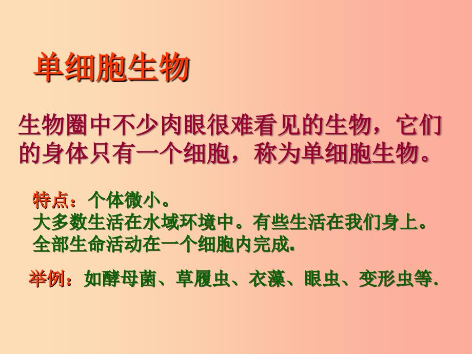 2019年七年级生物上册2.2.4单细胞生物课件4 新人教版.ppt_第2页