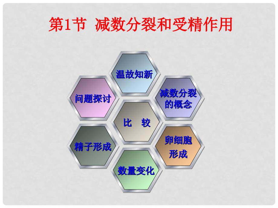 福建省泉州市十五中高中生物 2.1 减数分裂和受精作用课件 新人教版必修2_第2页