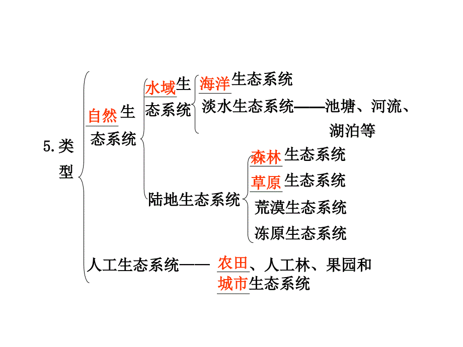 生态系统的结构复习_第2页