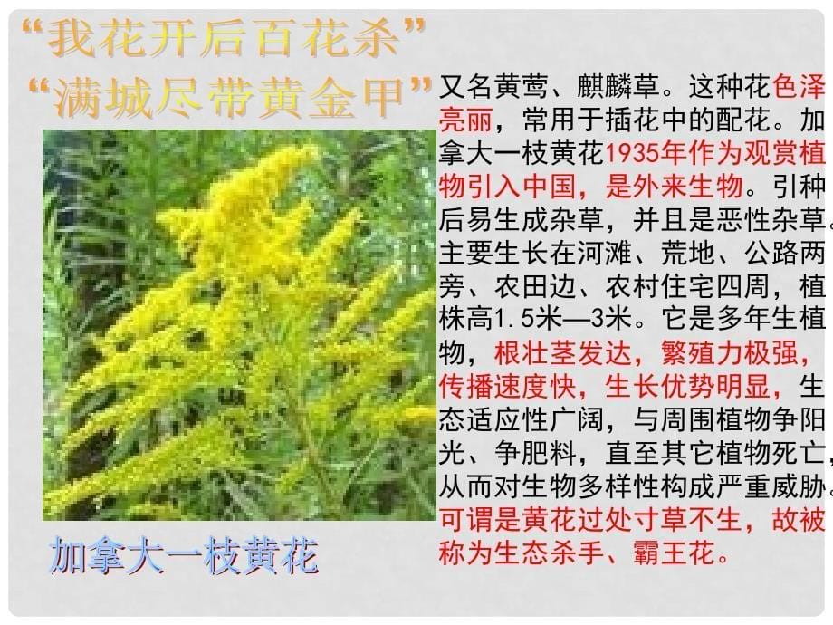 山东省茌平县洪屯中学八年级语文上册《生物入侵者》课件 新人教版_第5页