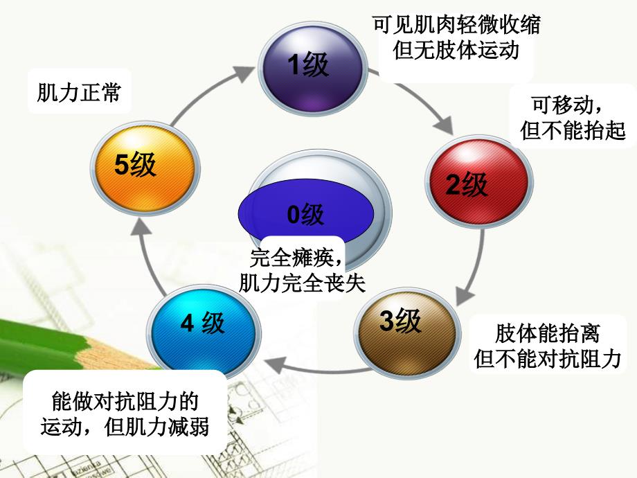 肌力分级及康复锻炼ppt课件_第3页