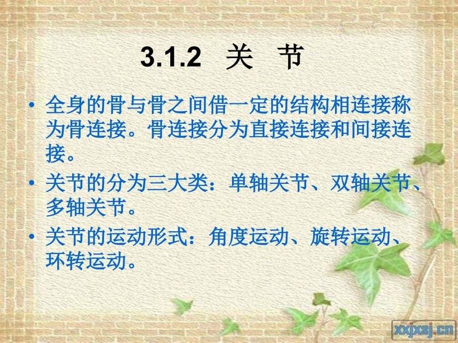 人体工程学第三章人体运动系统及其特性.ppt_第5页