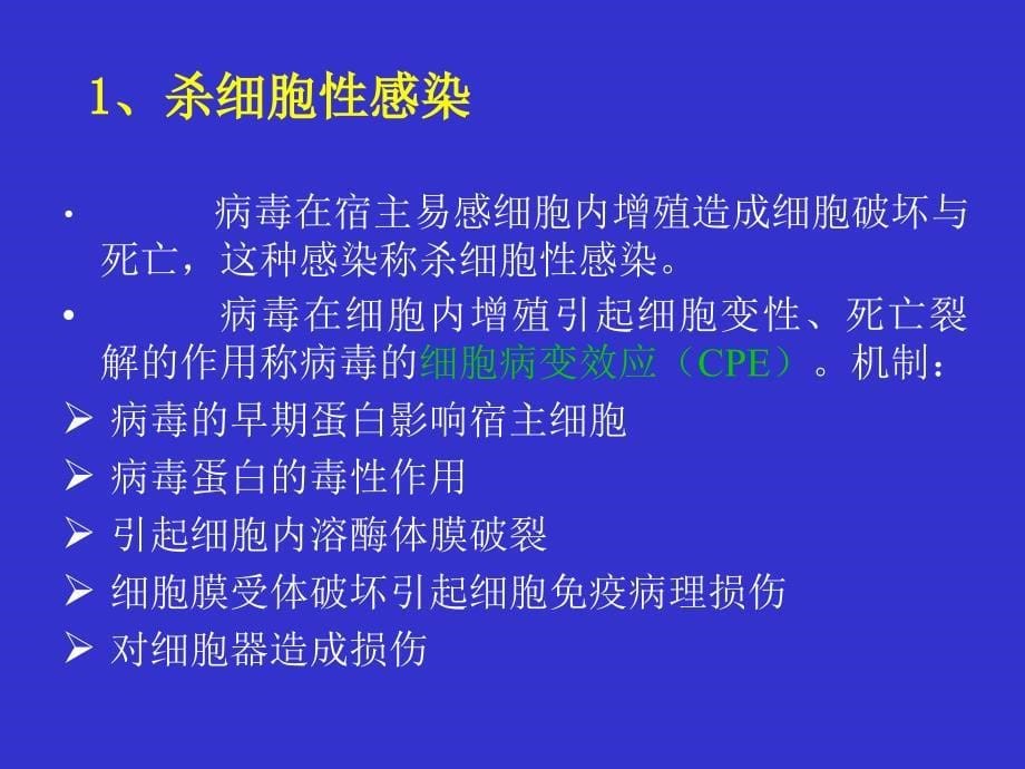 最新病毒的感染和免疫PPT文档_第5页