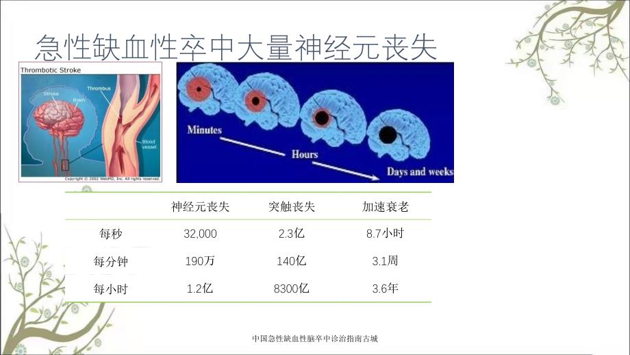 中国急性缺血性脑卒中诊治指南古城_第3页