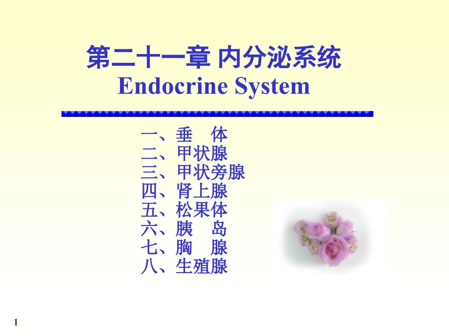 系统解剖学内分泌ppt课件_第1页